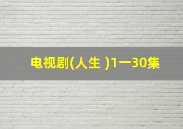 电视剧(人生 )1一30集